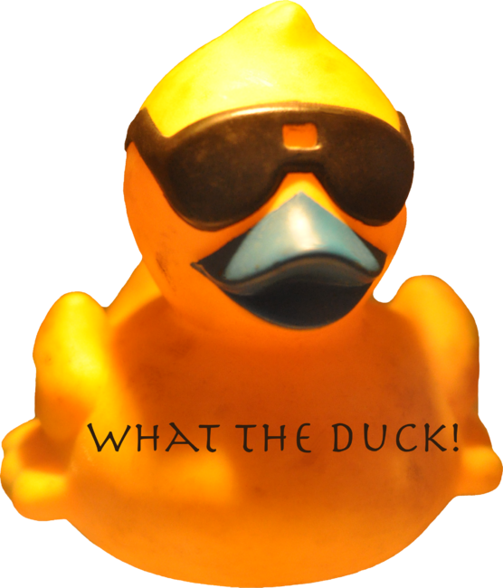 What the Duck