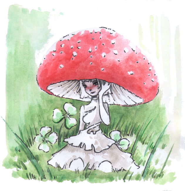 Empire of Mushrooms: Amanita Muscaria
