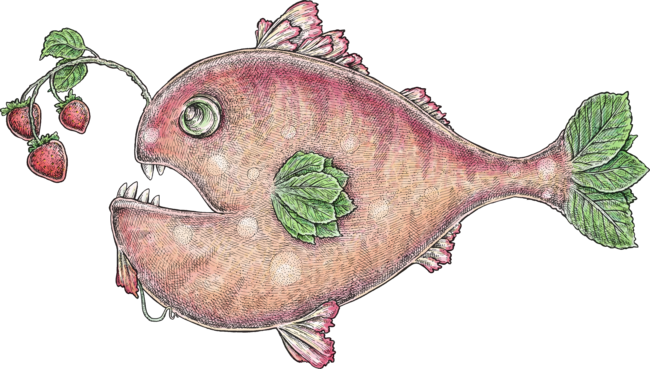 The Strawberry Fish