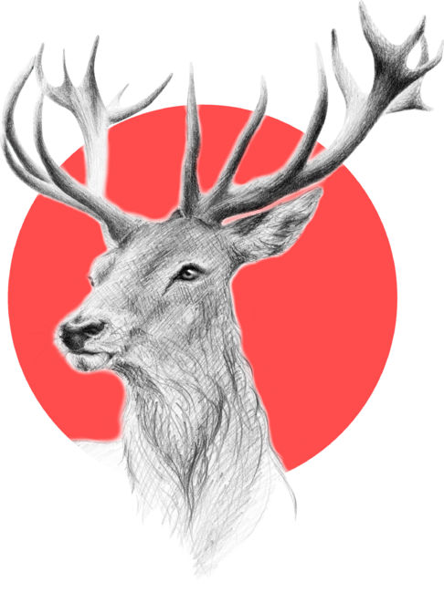Deer | red