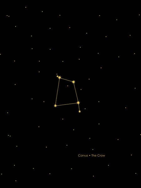 Corvus Constellation in Gold by PrintStopStudio