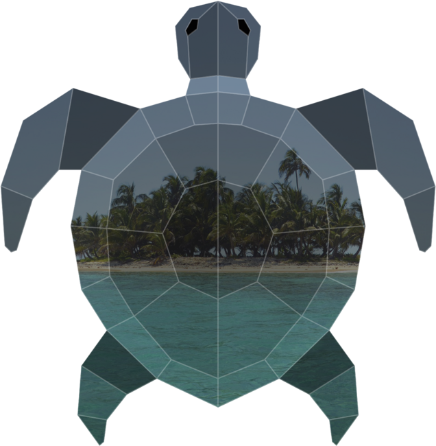 Low Poly Double Exposure of a Sea Turtle