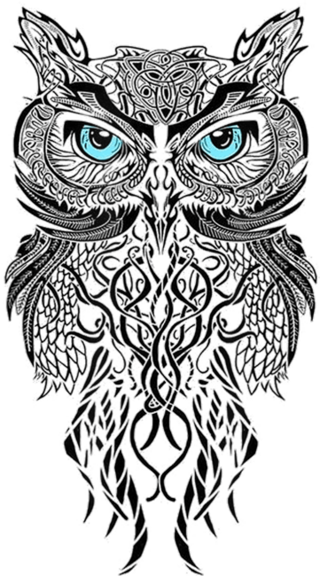 great owl by spaceds