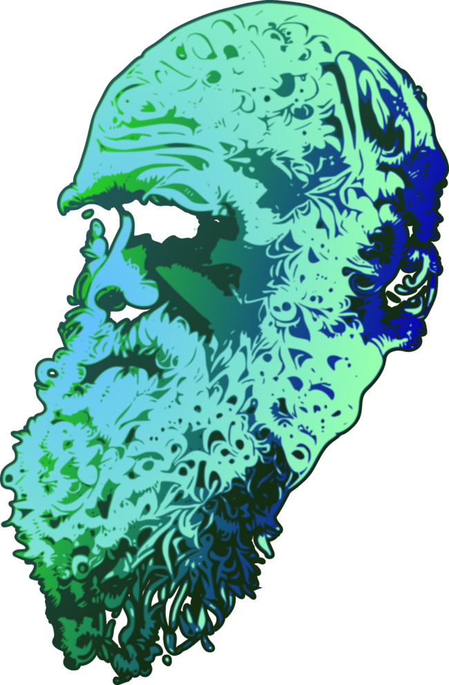 Darwin by Toern
