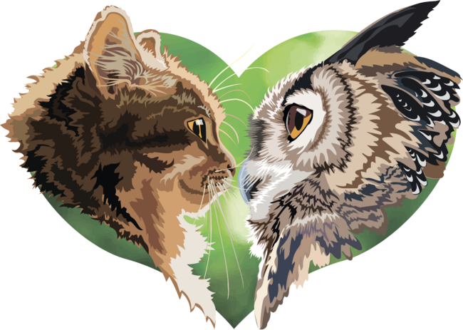 Cat and Owl Love