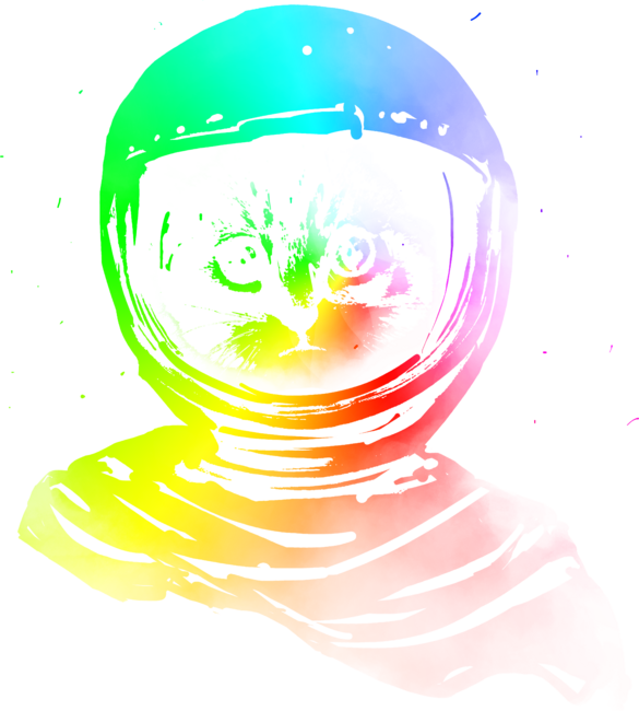 Space LGBT Astronaut Cat Pride Rainbow Kitten