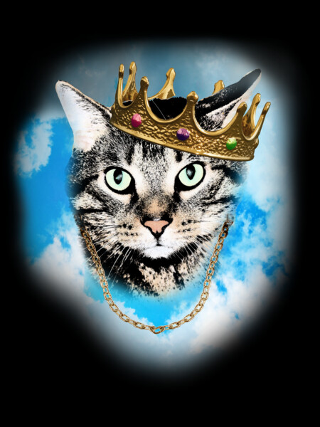 King Puss