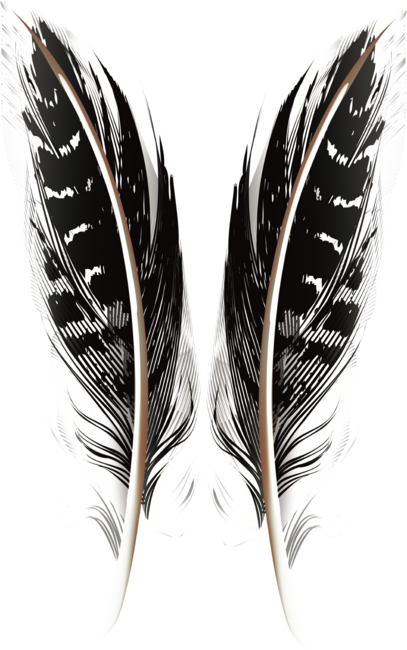 Feather OWL by ashtext