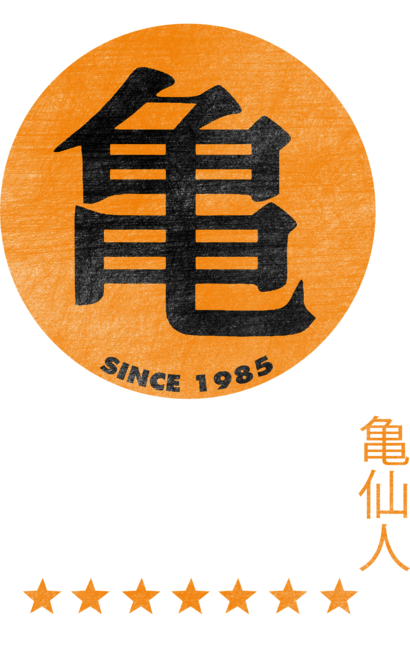Turtle School