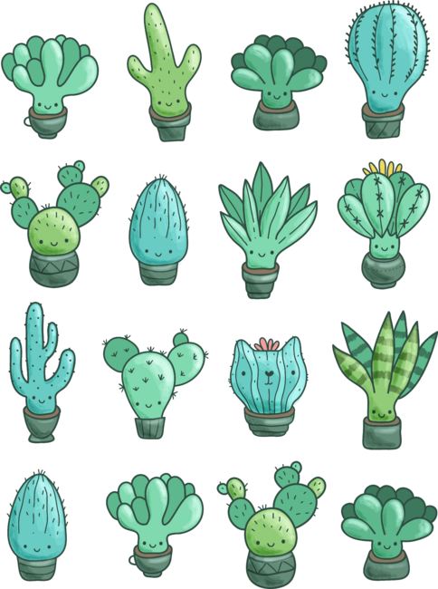 Cacti &amp; succulents