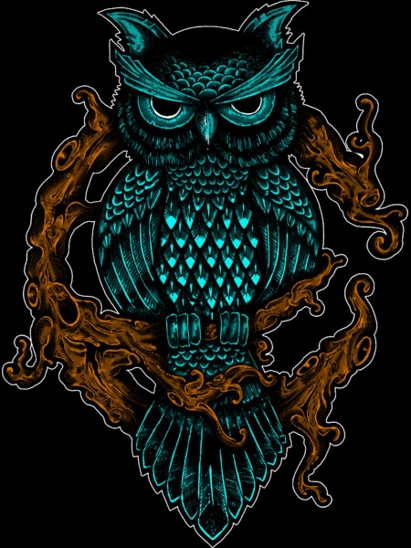 Owl The Nocturnal