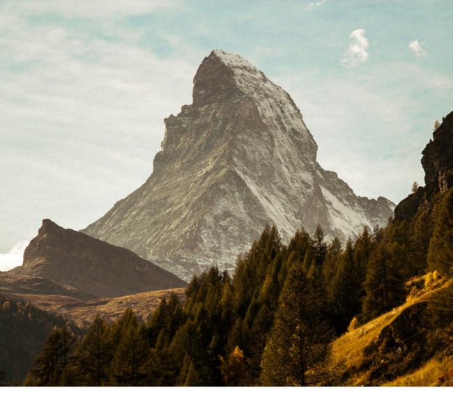 Day Dreamer White text by daydreamercabin