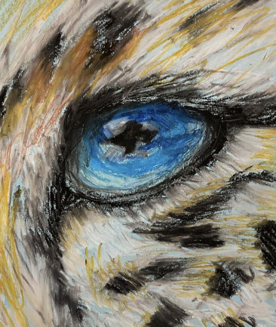 Cheetah's eye