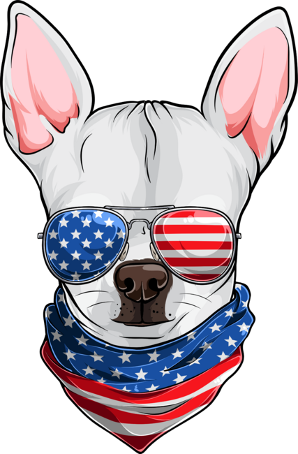 4th Of July White Chihuahua Dog