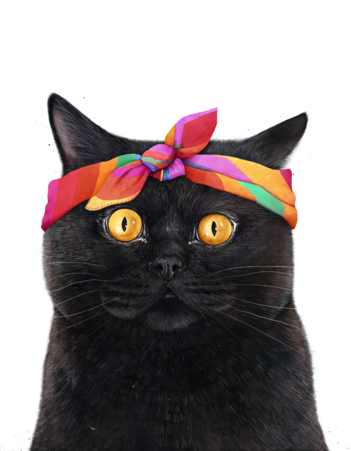 Black cat with bandana by kodamorkovkart