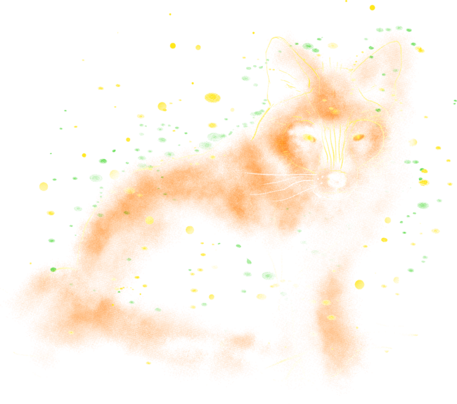 magical fox