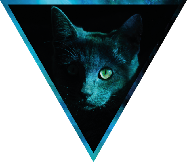 Cosmic Triangle Cat by RAdesigns