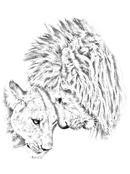 Wildlife &quot;Lions Love&quot; by GNDesign