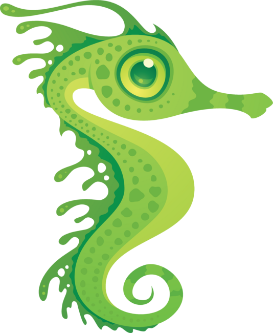Leafy Sea Dragon Seahorse
