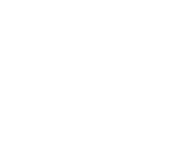 The Raven  ( White Version )
