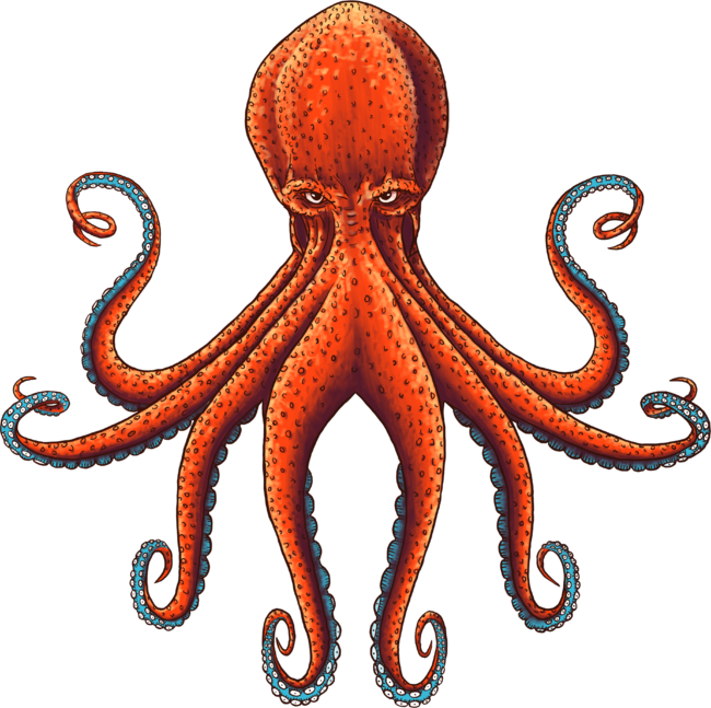Deep-sea red kraken octopus in combat stance