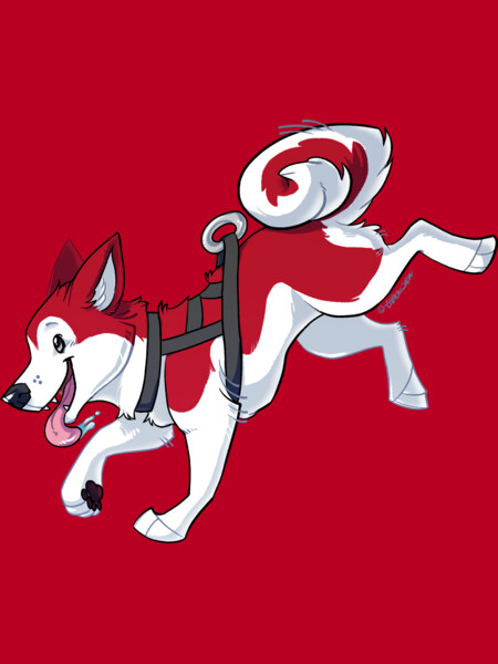 Red Husky Running