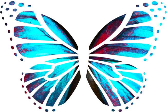 Blue Red Butterfly