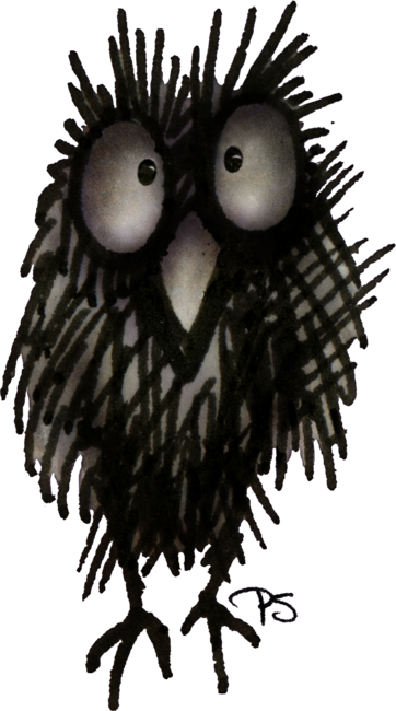 Funny Night Owl