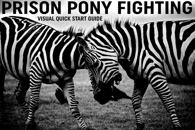 Prison pony fighting quick start guide. by ScreamingJimmy