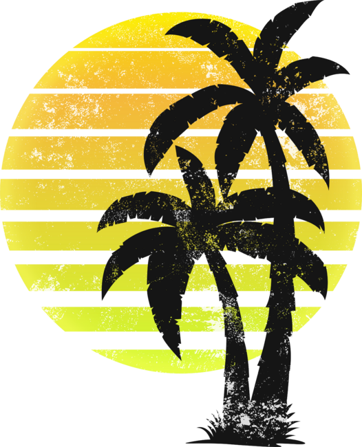 Sunset Beach Palm Tree