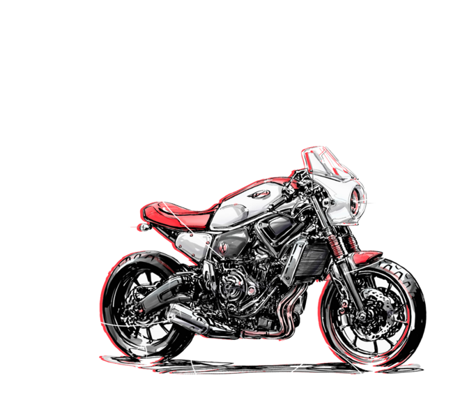 The Anatomy Of Freedom