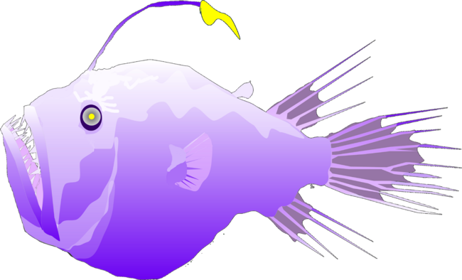 Purple Deep Sea Anglerfish