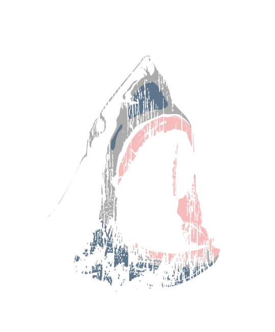 Huntington Beach California Shark Water Breach