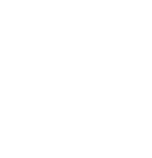 Cat Skull Moon Phase Third Eye Artwork