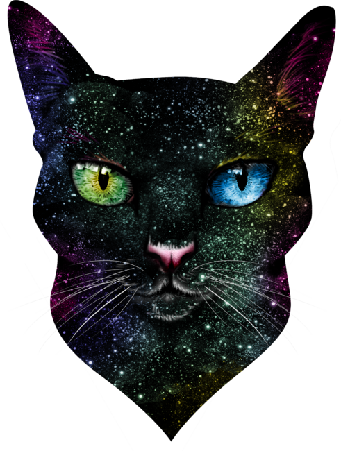 Space Eye Cat
