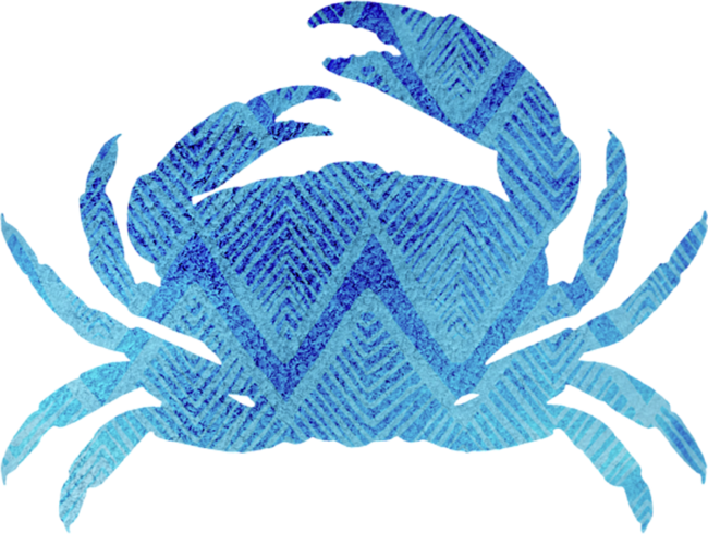 Crab, tropical caribbean blue crab