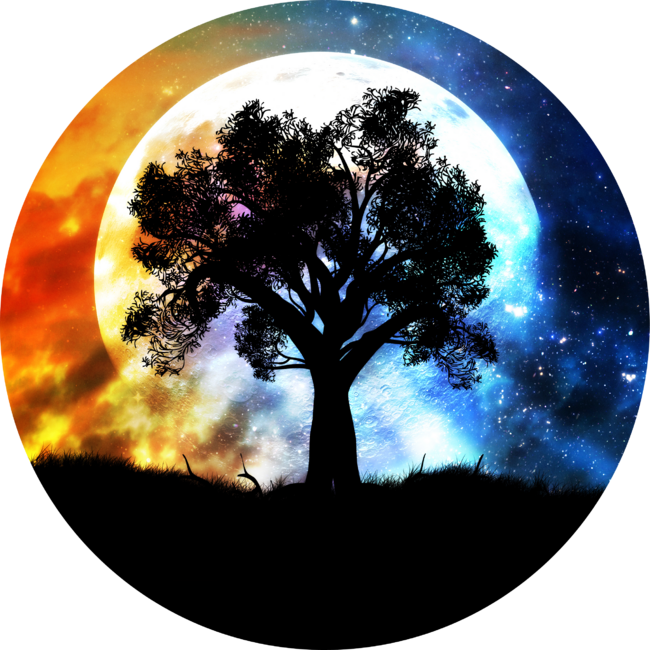 Full moon and tree