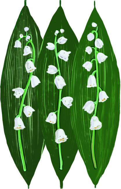 leaves and lilies of the valley
