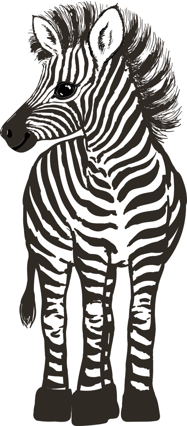 Zebra by Nonka