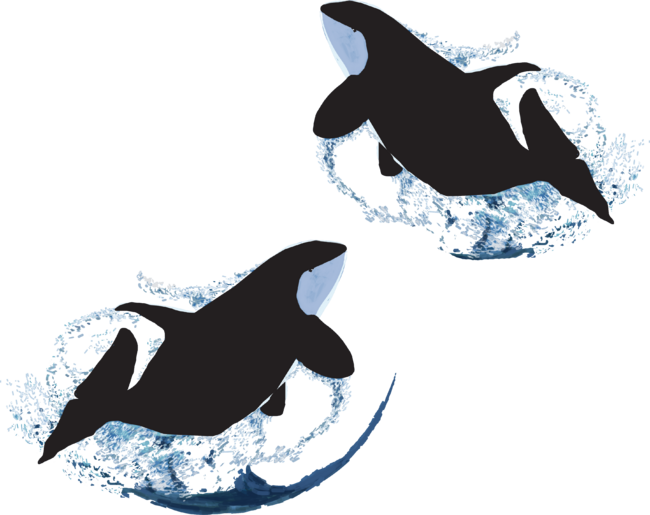Orca Whales by manitarka