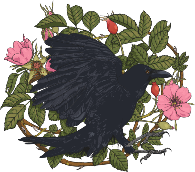Raven And Roses