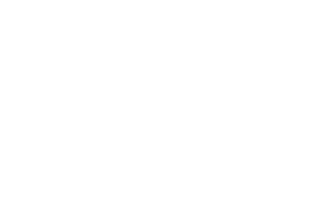 Unicorn Skeleton