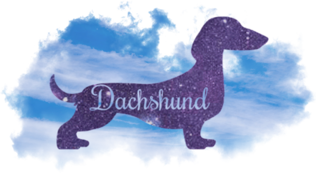 Dachshund dog silhouette in sky wit blue sky by beyourarts