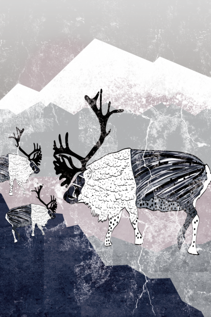 Nordic reindeers by KateWu