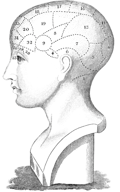 Vintage Human Head illustration
