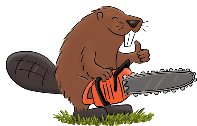 Beaver with chainsaw funny cartoon illustration by thefrogfactory