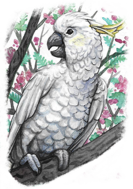 Cute Cockatoo by GnarlyBones