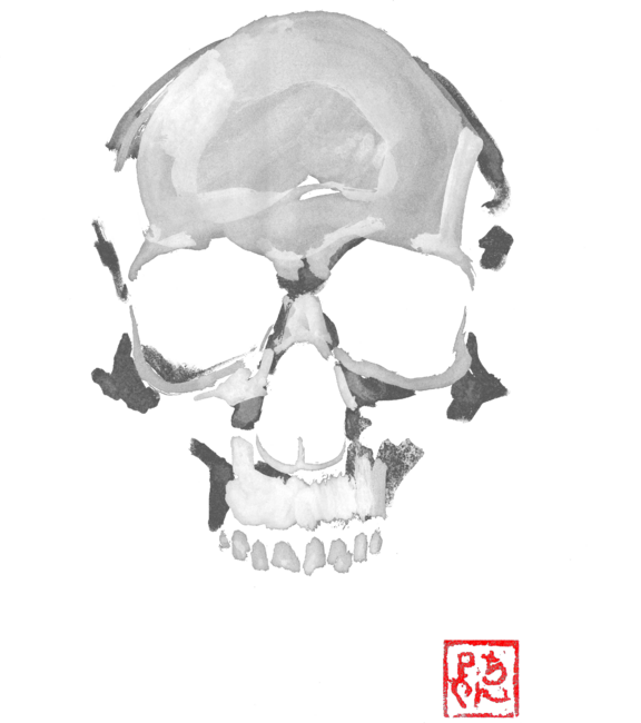 skull in dark by pechanesumie