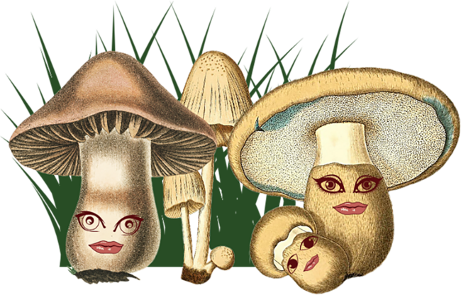 Mushroom Happy Family