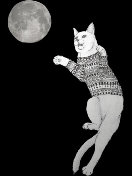 Cat trying to catch the Moon